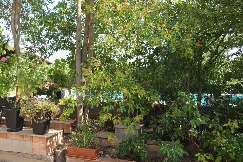 Finca Marina Turismo Rural