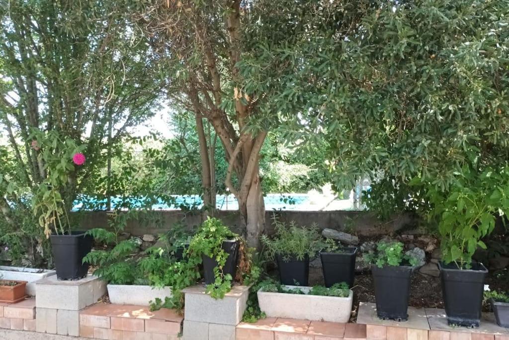 Finca Marina Turismo Rural