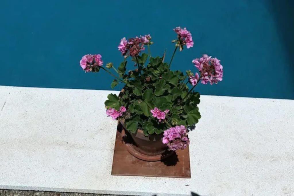 Finca Marina Turismo Rural