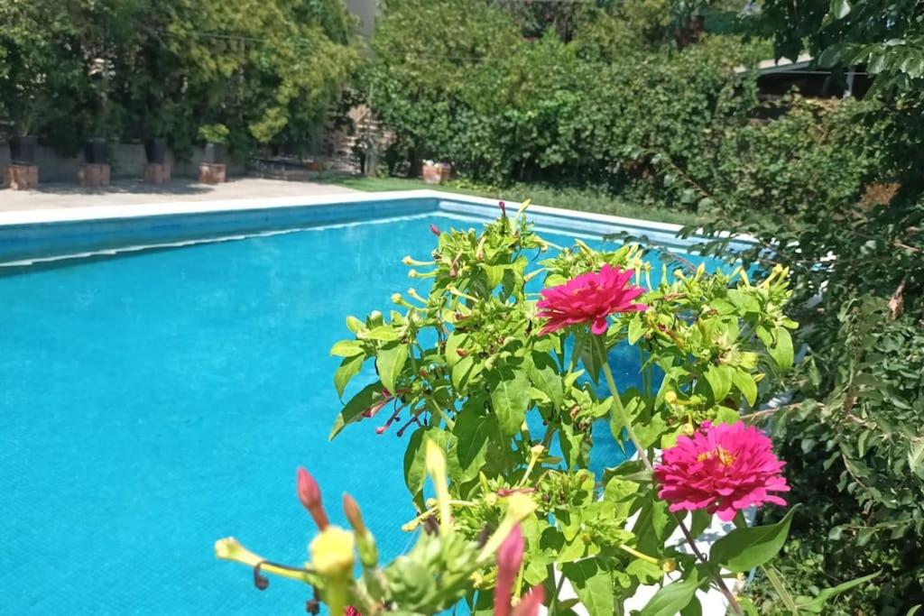 Finca Marina Turismo Rural