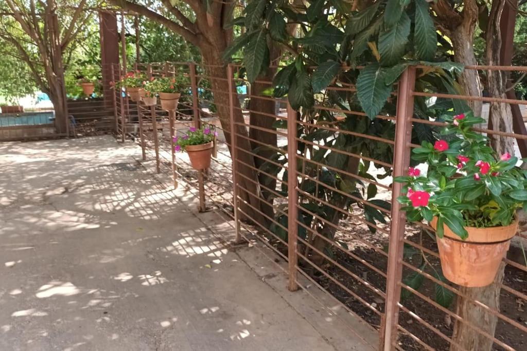Finca Marina Turismo Rural