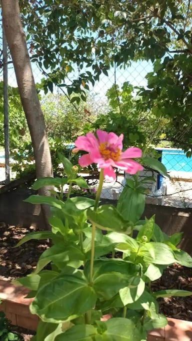 Finca Marina Turismo Rural