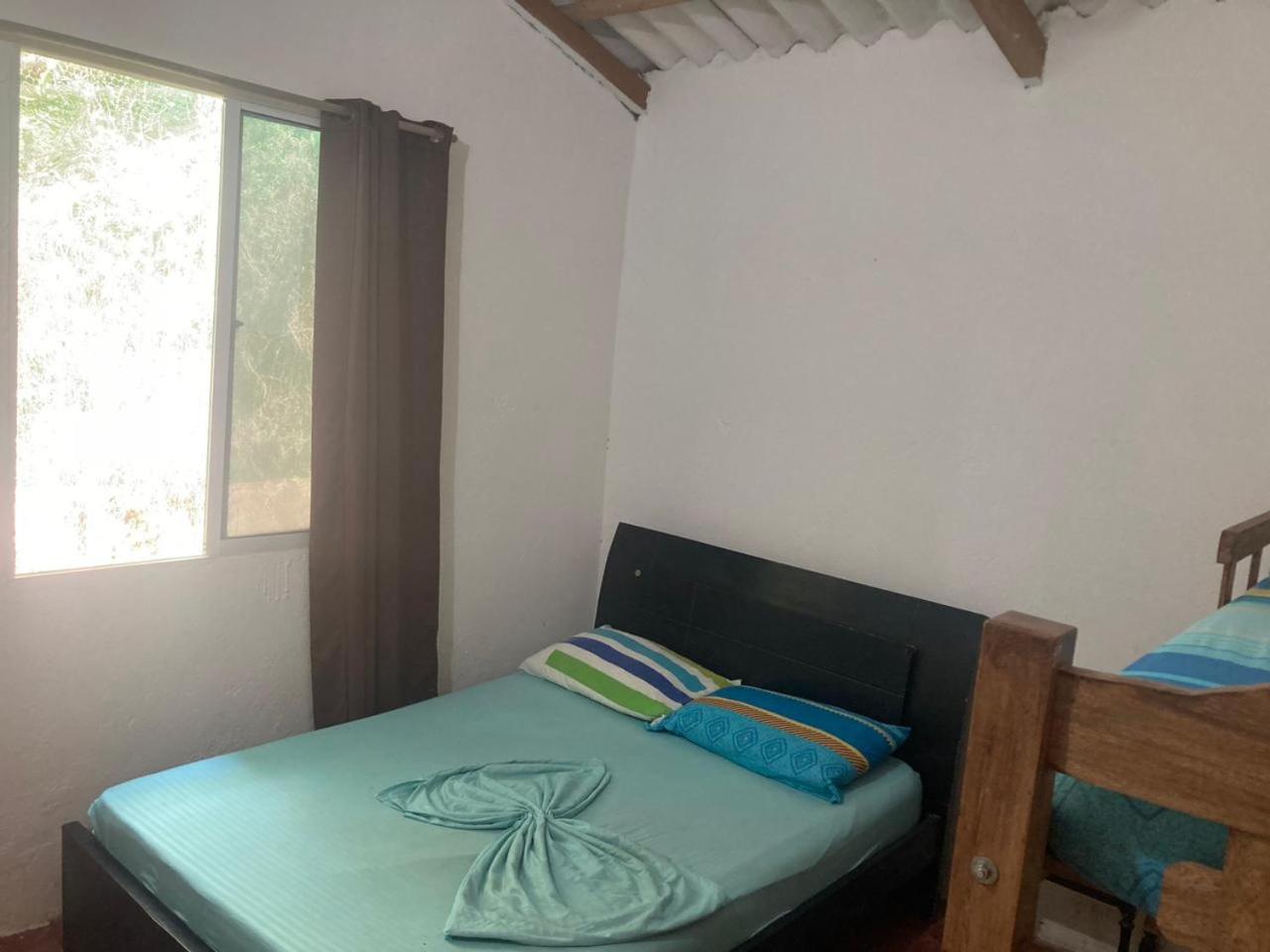 Hostel Alitta