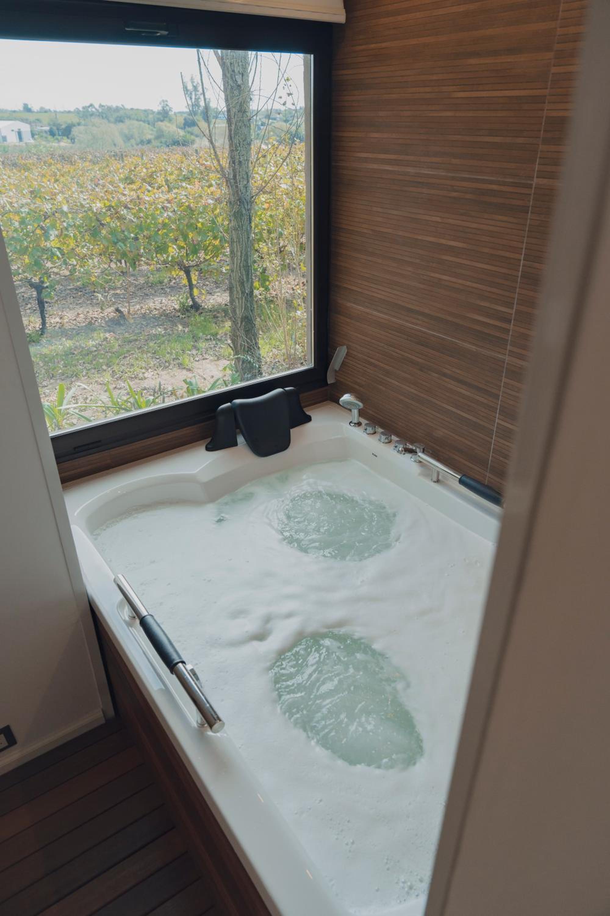 Pizzorno Lodge & Wine view 5