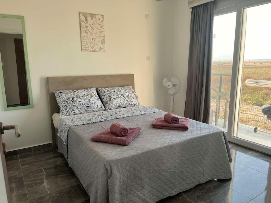 The Aqua Marine Flat
