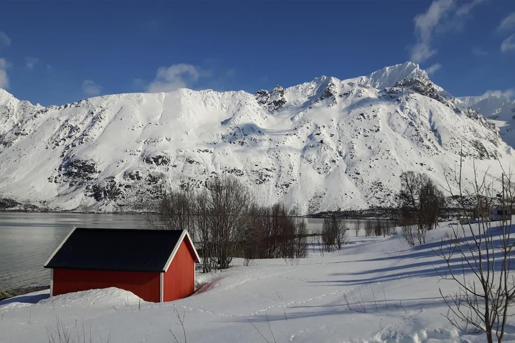 Photo 24