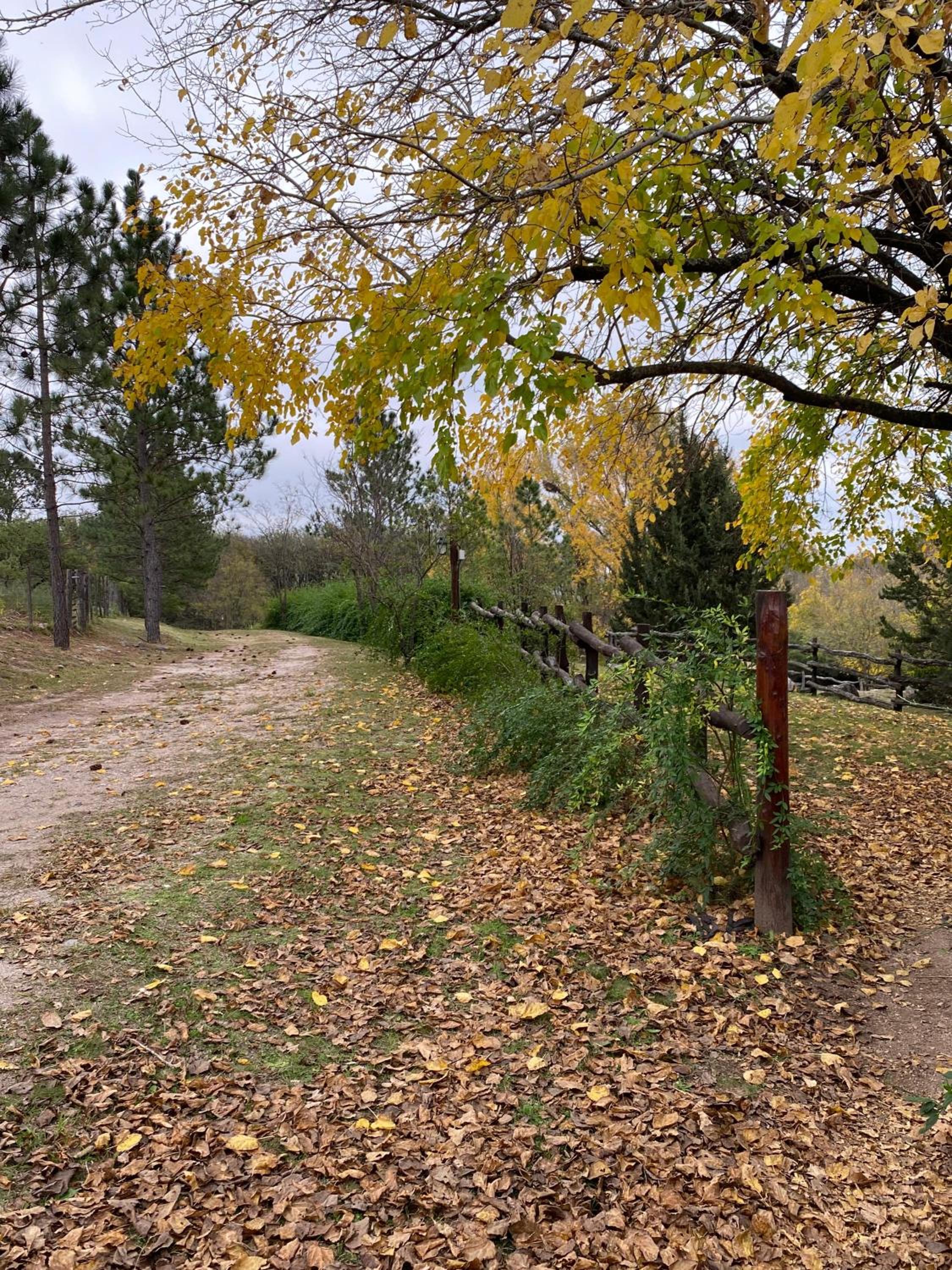 Sierras de Córdoba Ascochinga vivienda exclusiva