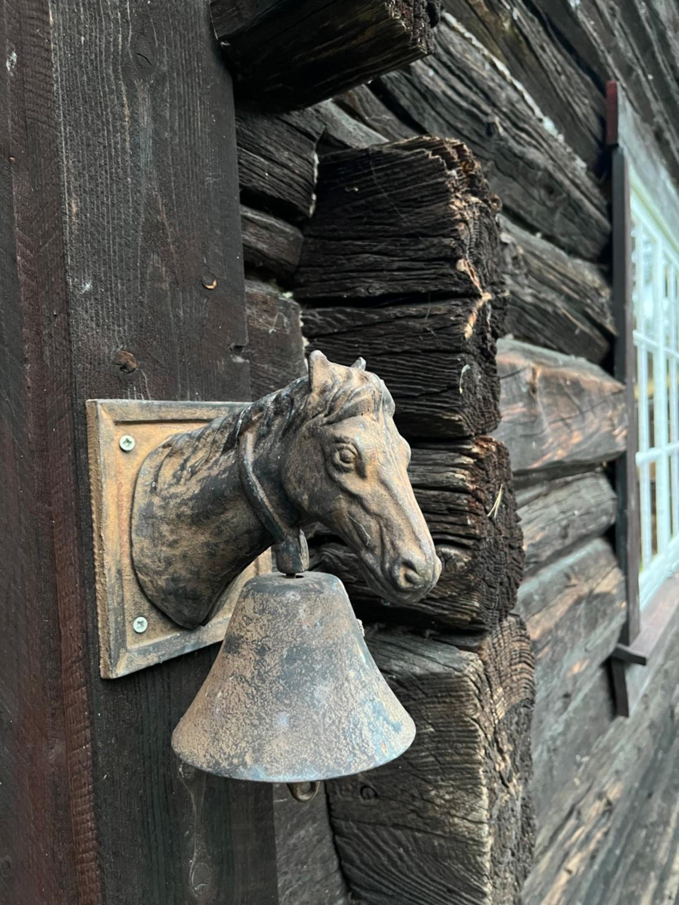 Photo 45