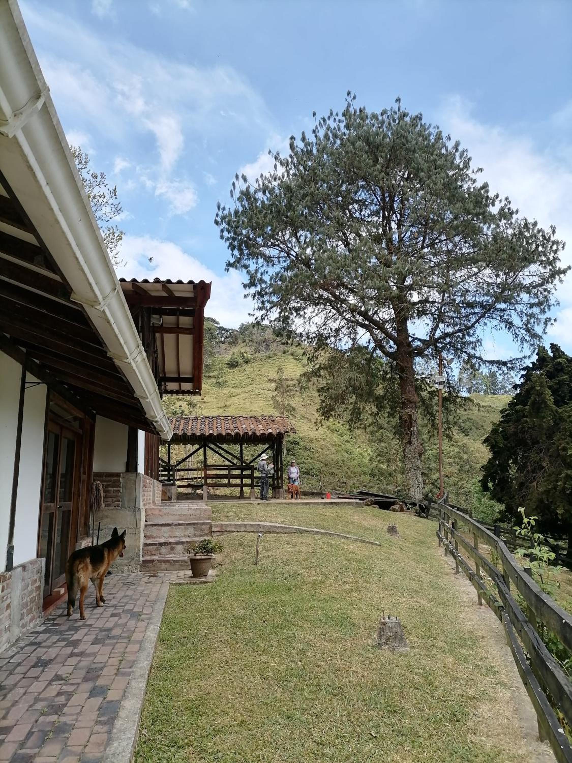 Moraia BioConecta Cabaña El Roble