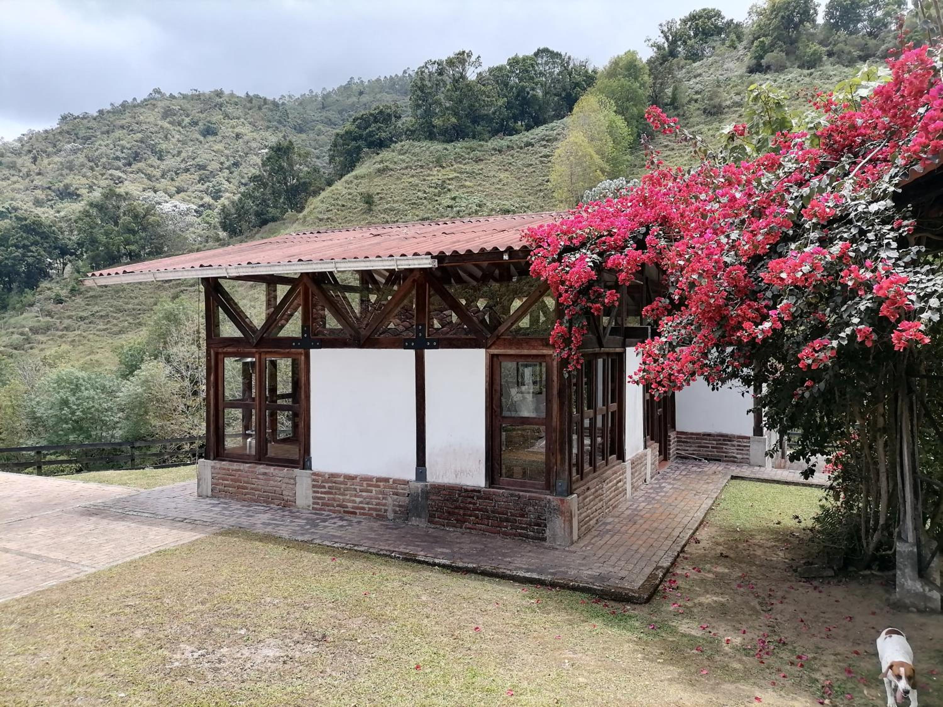 Moraia BioConecta Cabaña El Roble