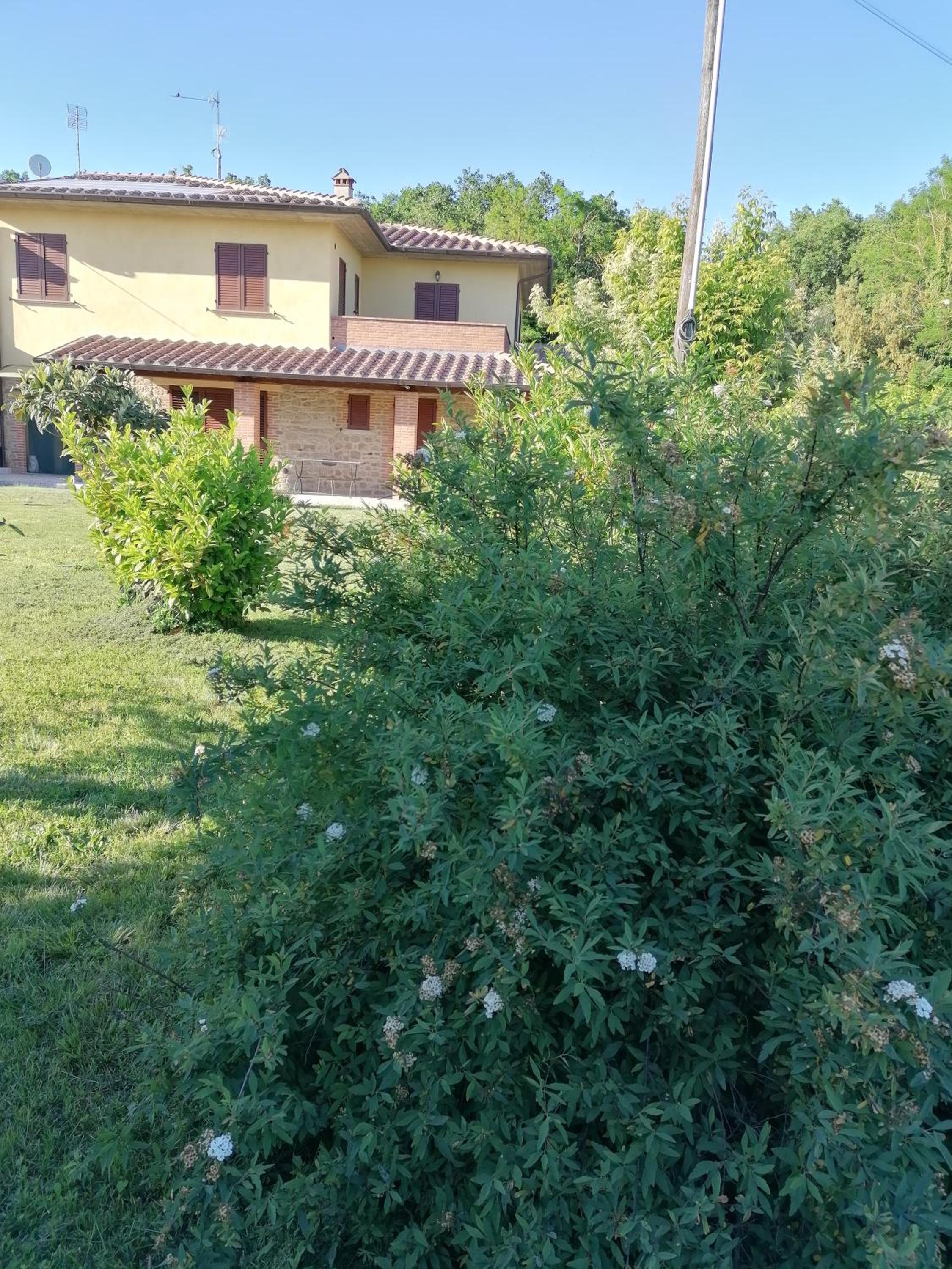 il Boschetto da Michael -quercia