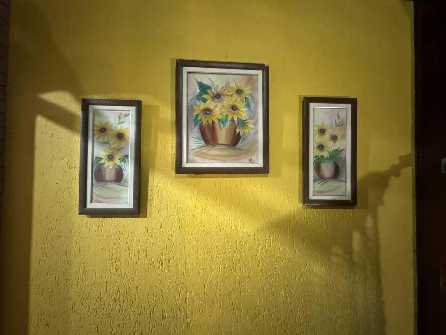 Casa dentro Parque aquático