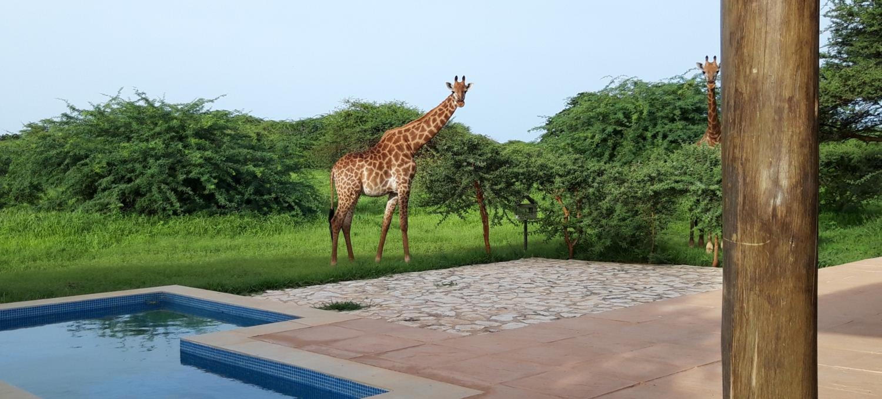Lodge du Ranch de Bandia