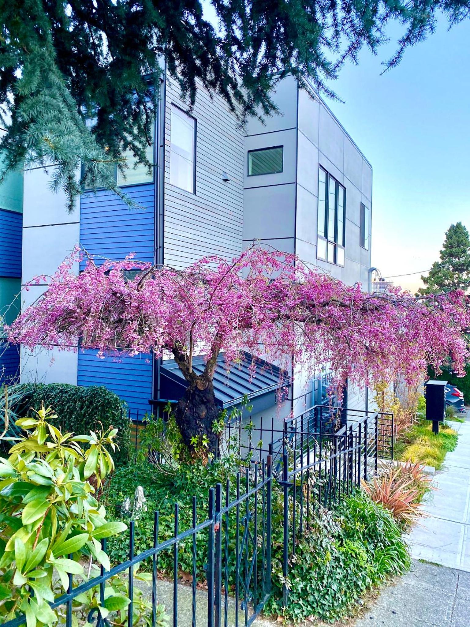 Modern Townhome with Space Needle View view 3