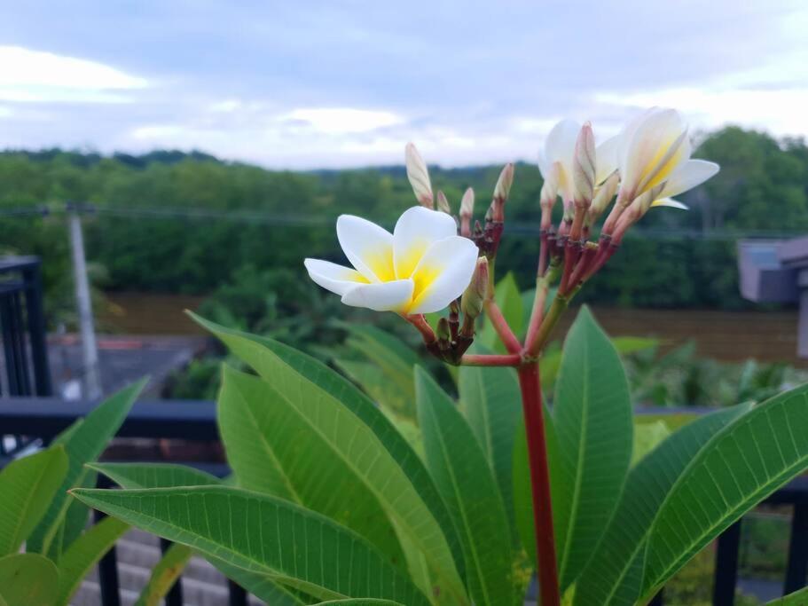 River View Holiday Home view 4