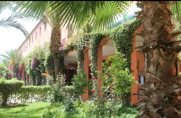 M-S Riad