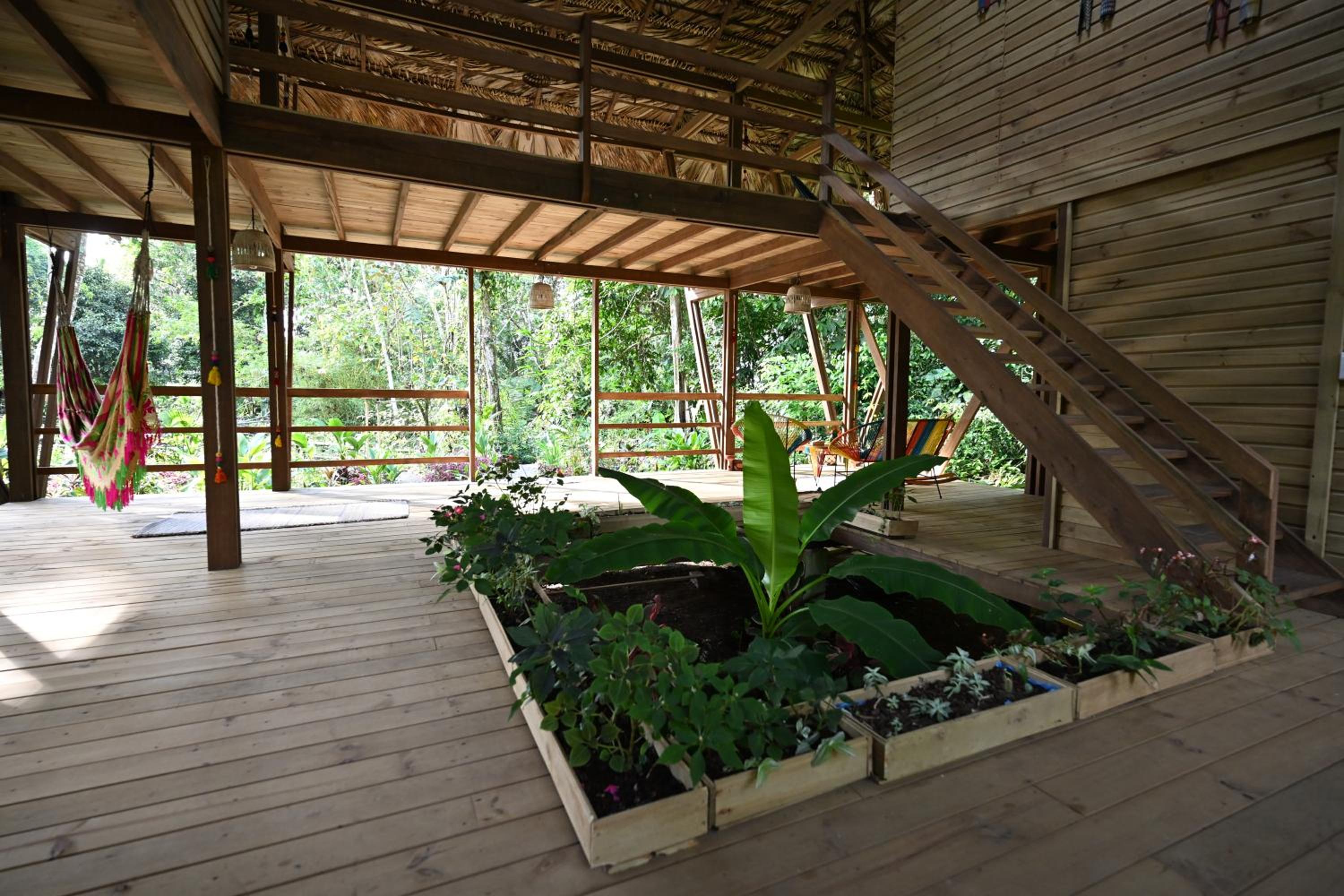 Madre Selva Eco Lodge