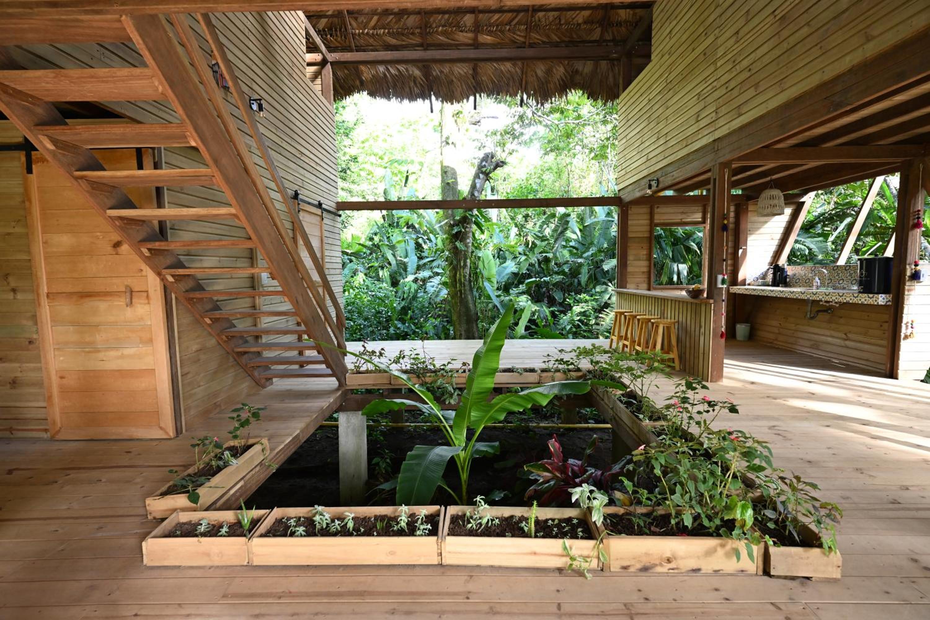 Madre Selva Eco Lodge