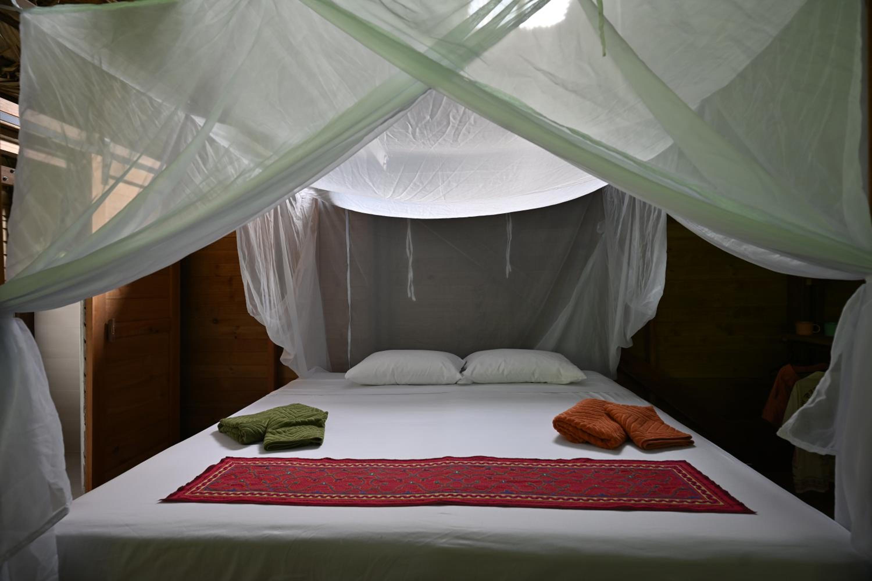 Madre Selva Eco Lodge