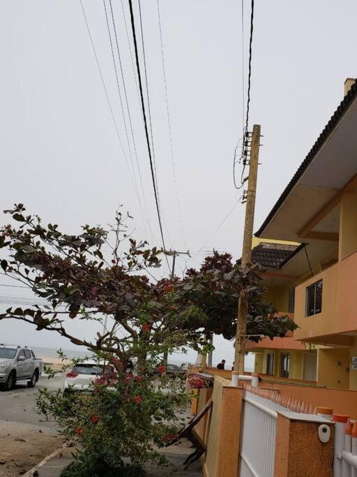 Triplex Amarelo 4