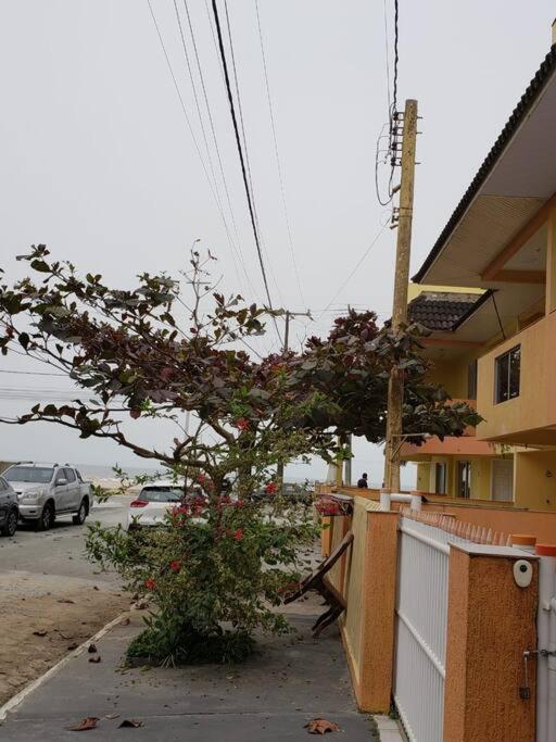 Triplex Amarelo 4