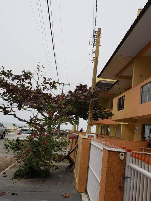 Triplex Amarelo 4