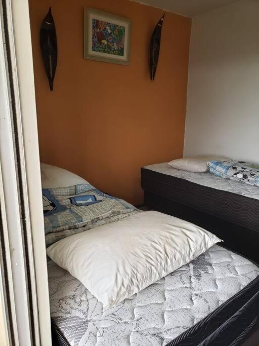 Triplex Amarelo 4