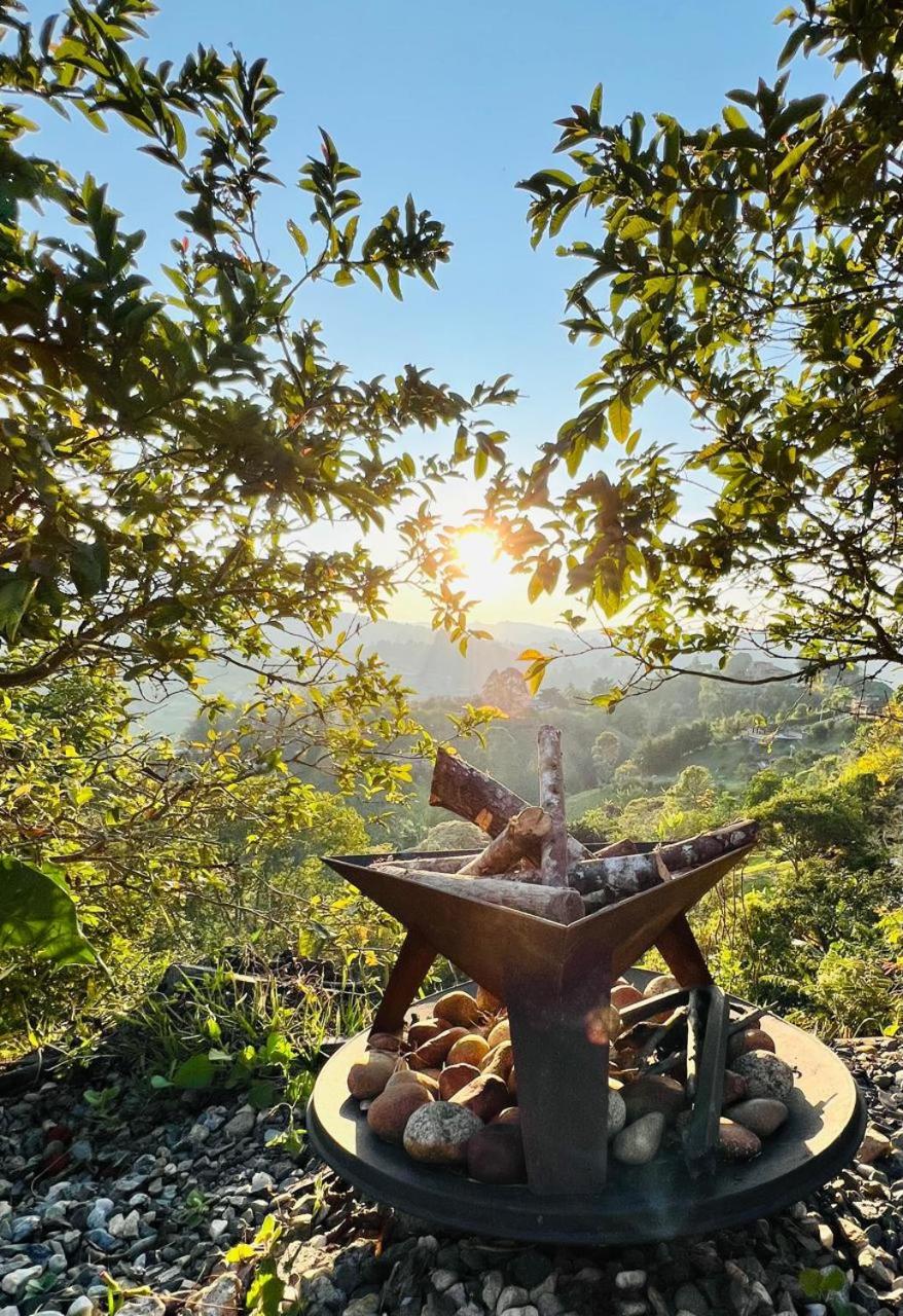 Eco Lodge Glamping