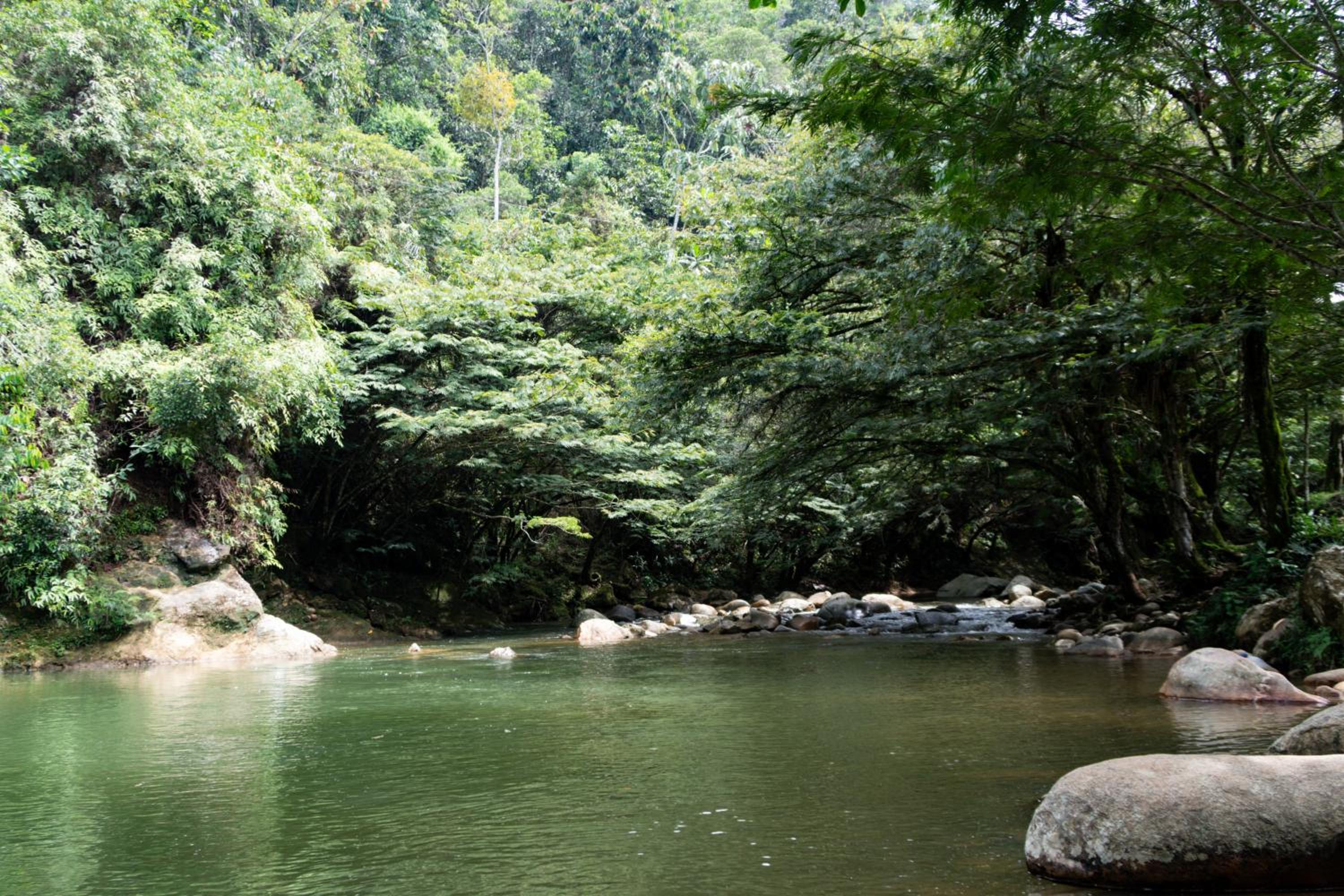 Finca San Rafael cerca al rio Wifi 6-12 personas