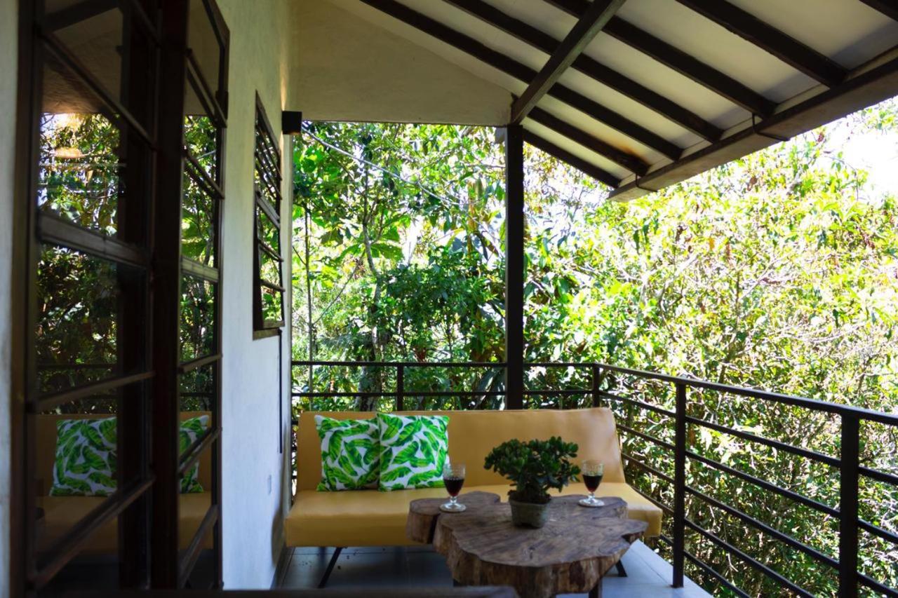 Eco Lodge Glamping