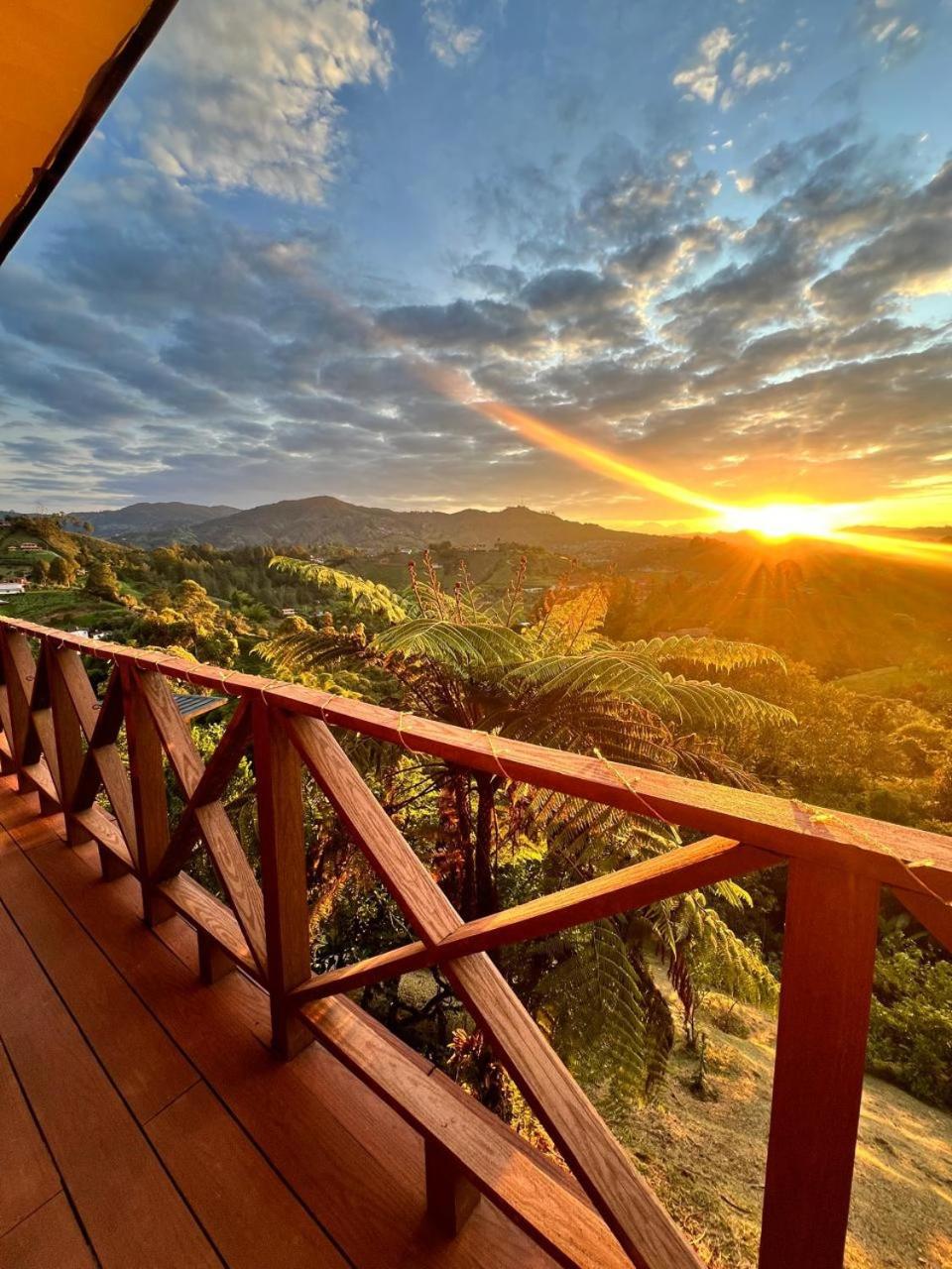 Eco Lodge Glamping