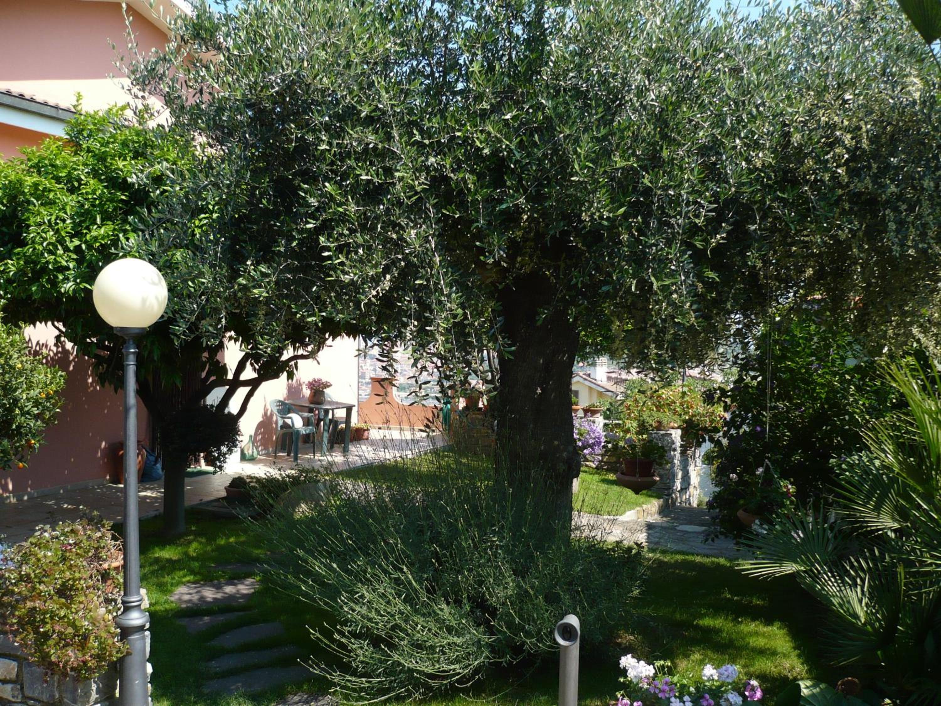 Photo 48