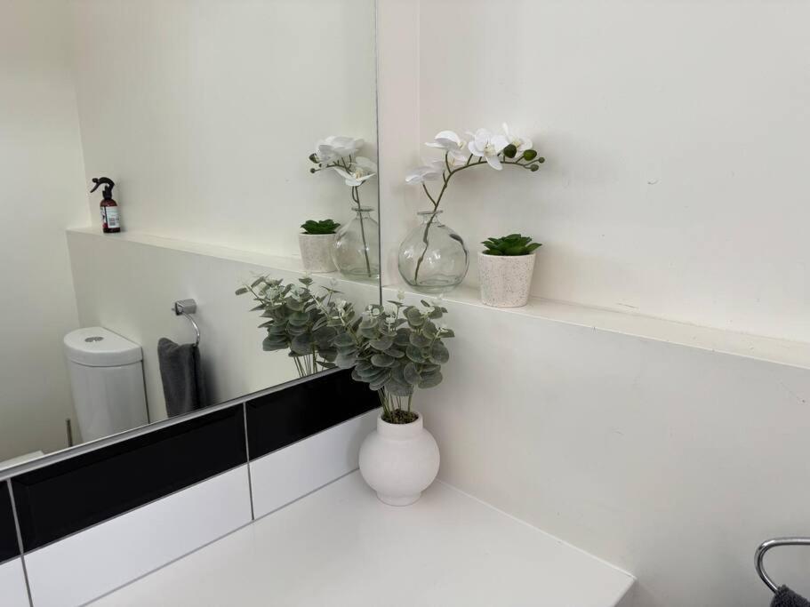 4 large bedroom Apartment in the City view 5