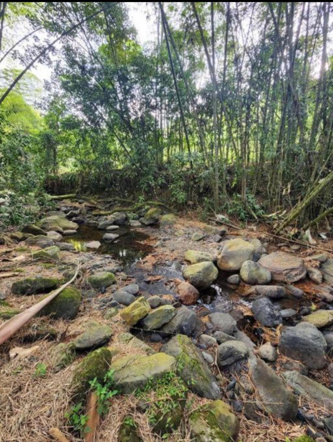 Finca El Remanso La Vega