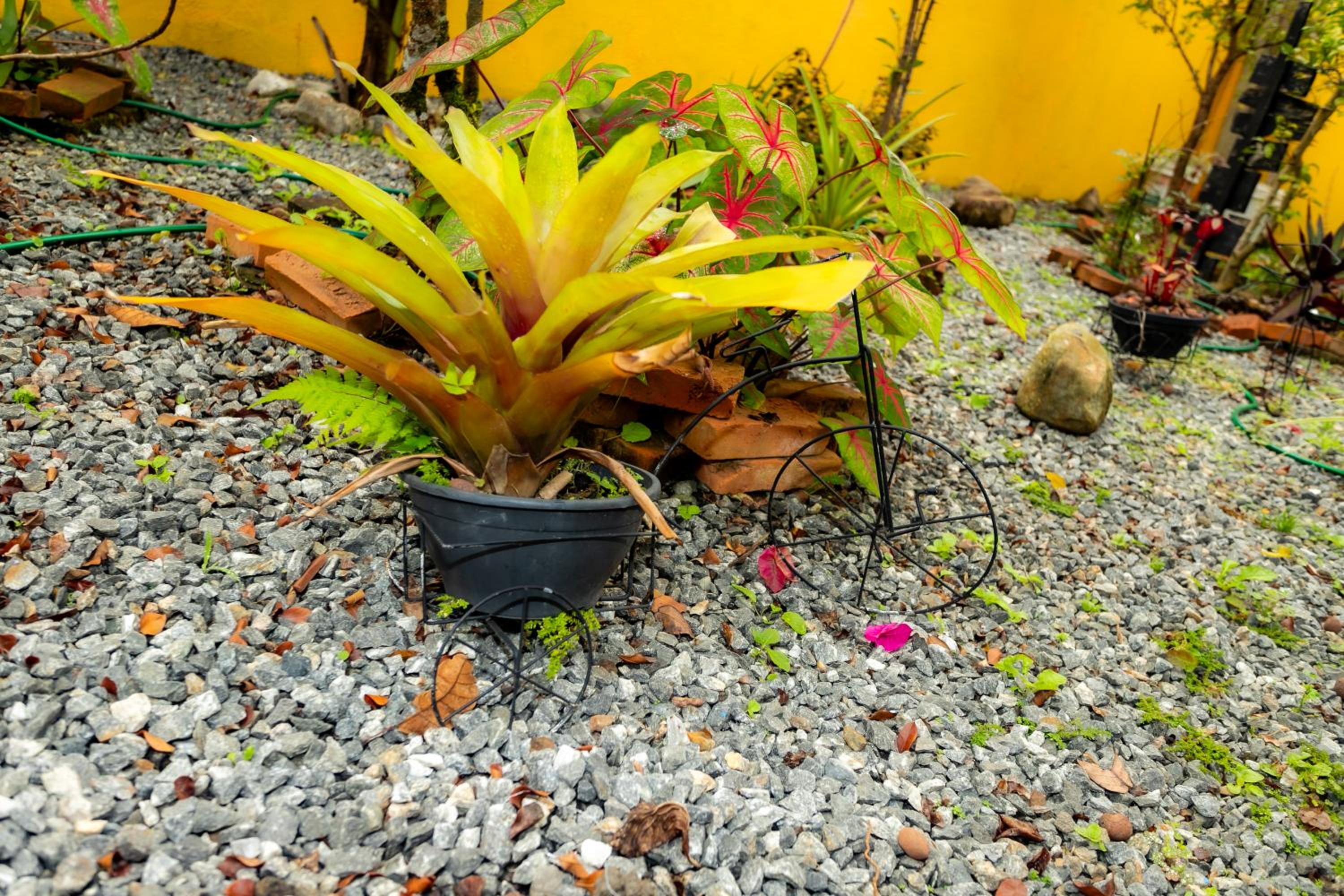 Casa Luna Peruíbe, Piscina & Área Gourmet