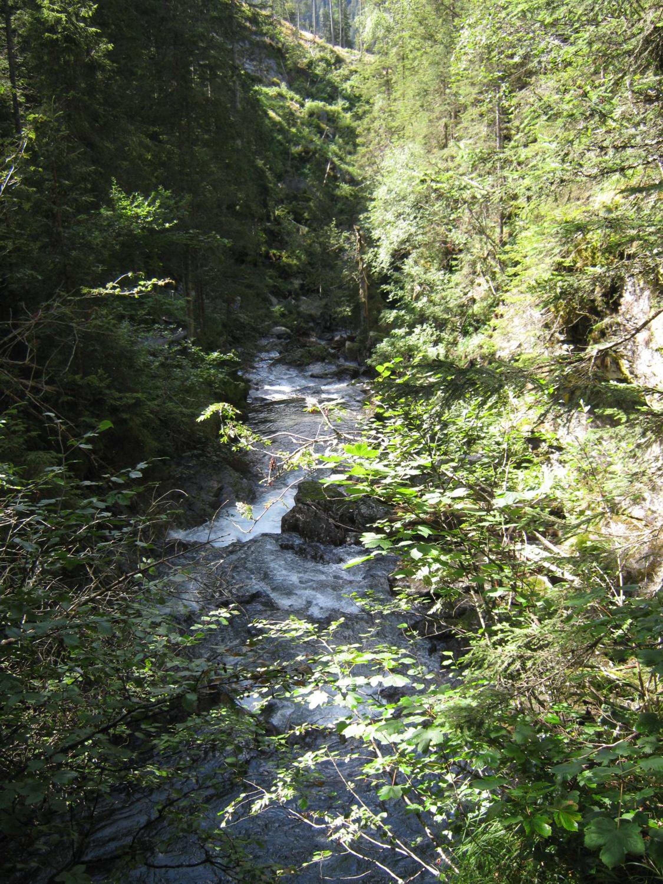 Sportpension Alpenrose