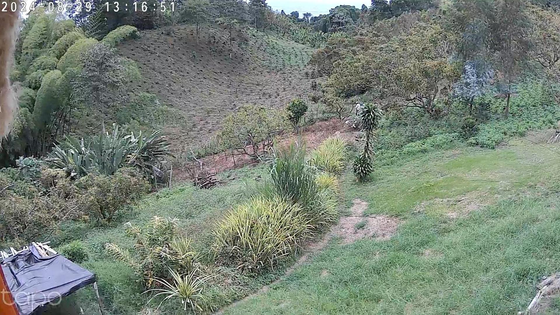Alojamiento con Historia - Finca el balcon