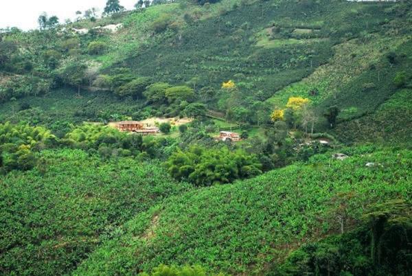 Alojamiento con Historia - Finca el balcon