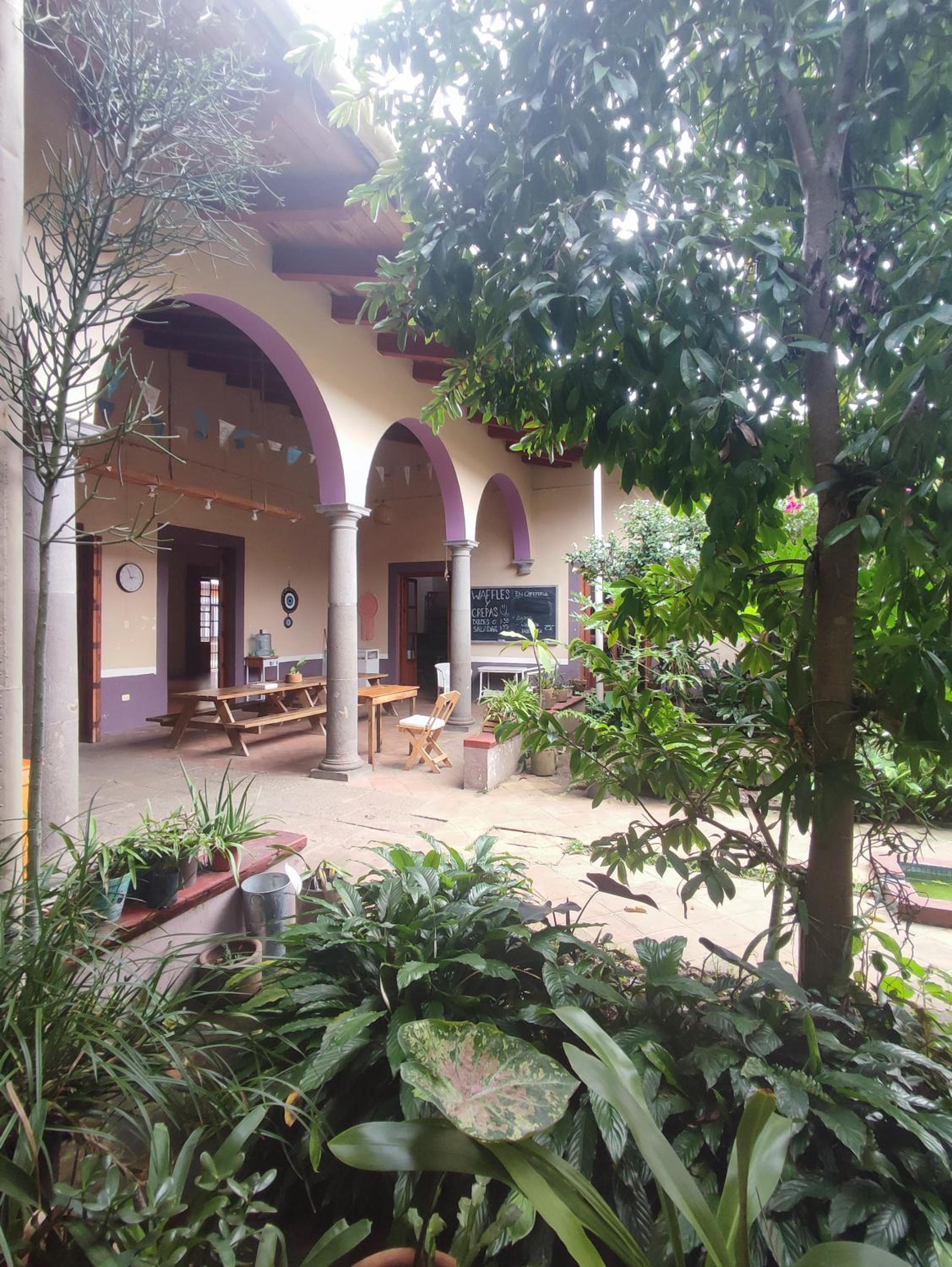 Casa Morfo Cultura view 5