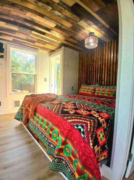 Waterfront Container House In A Magical Forest! view 5