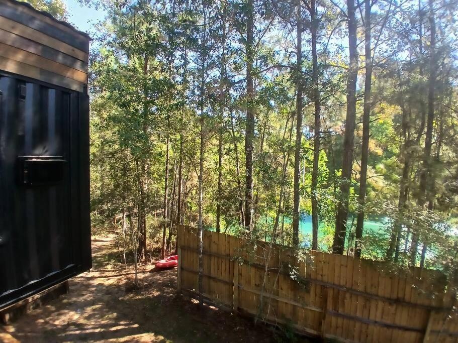 Waterfront Container House In A Magical Forest! view 2