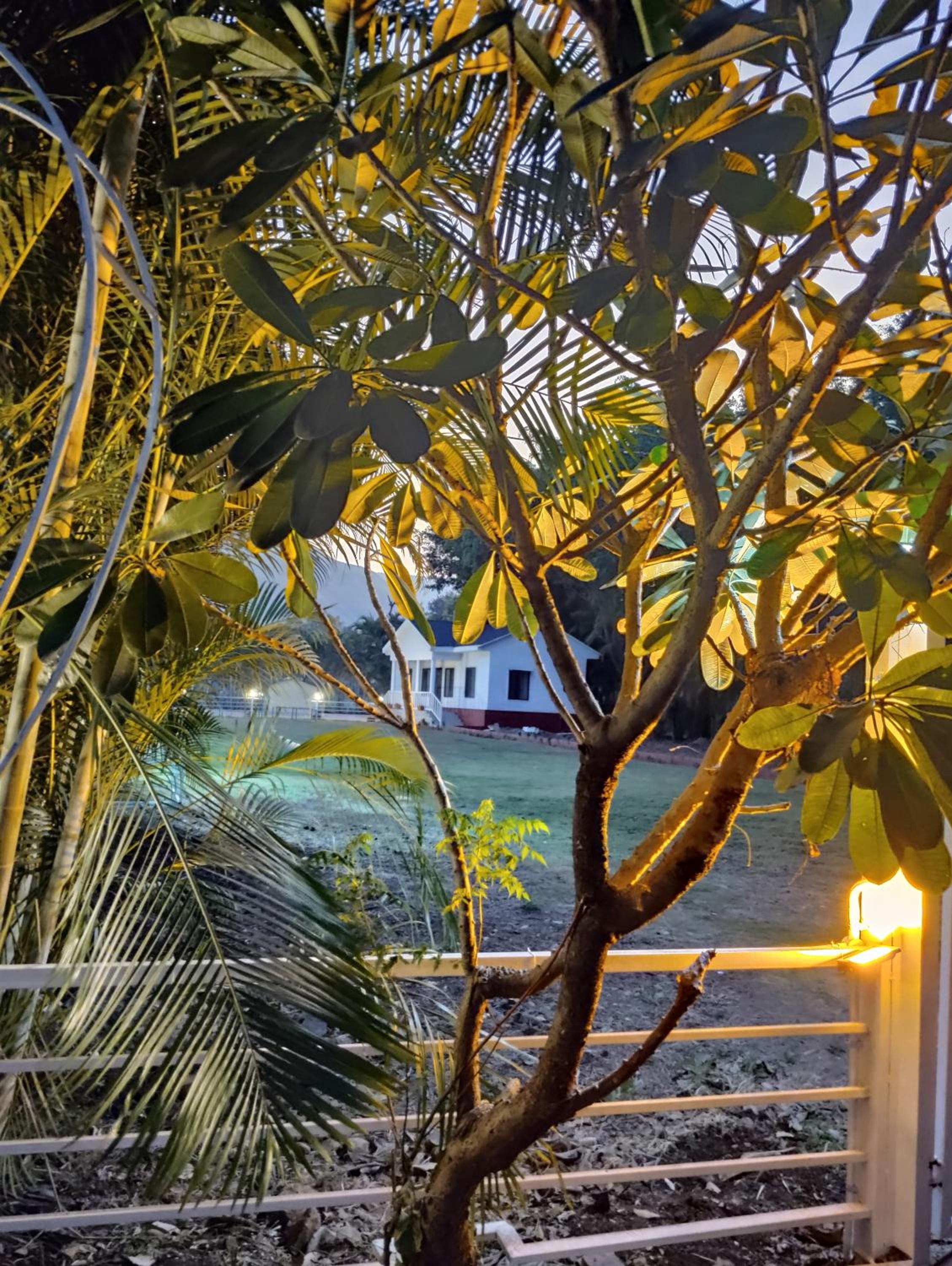 The White House With Swimming Pool view 3