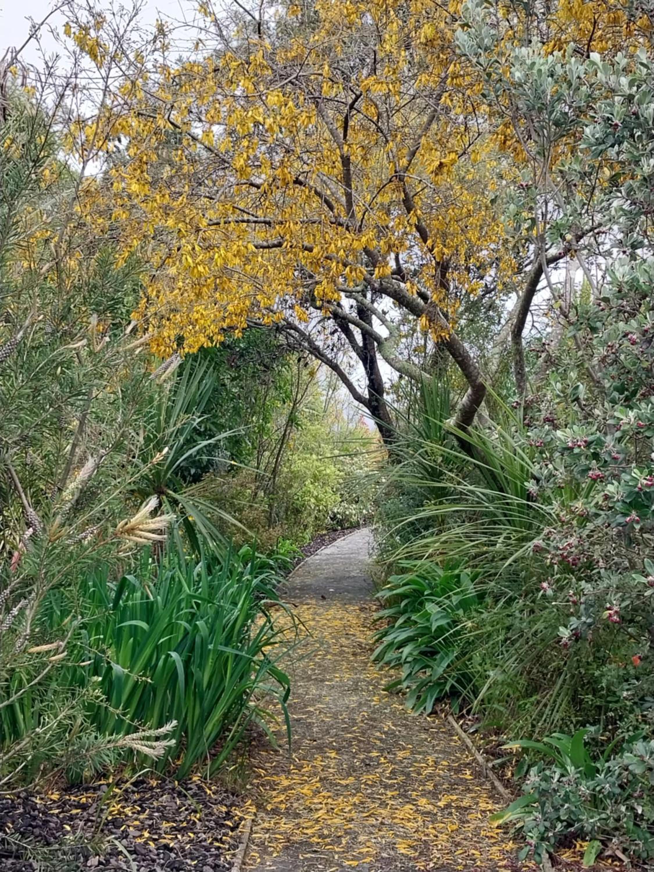 Photo 42