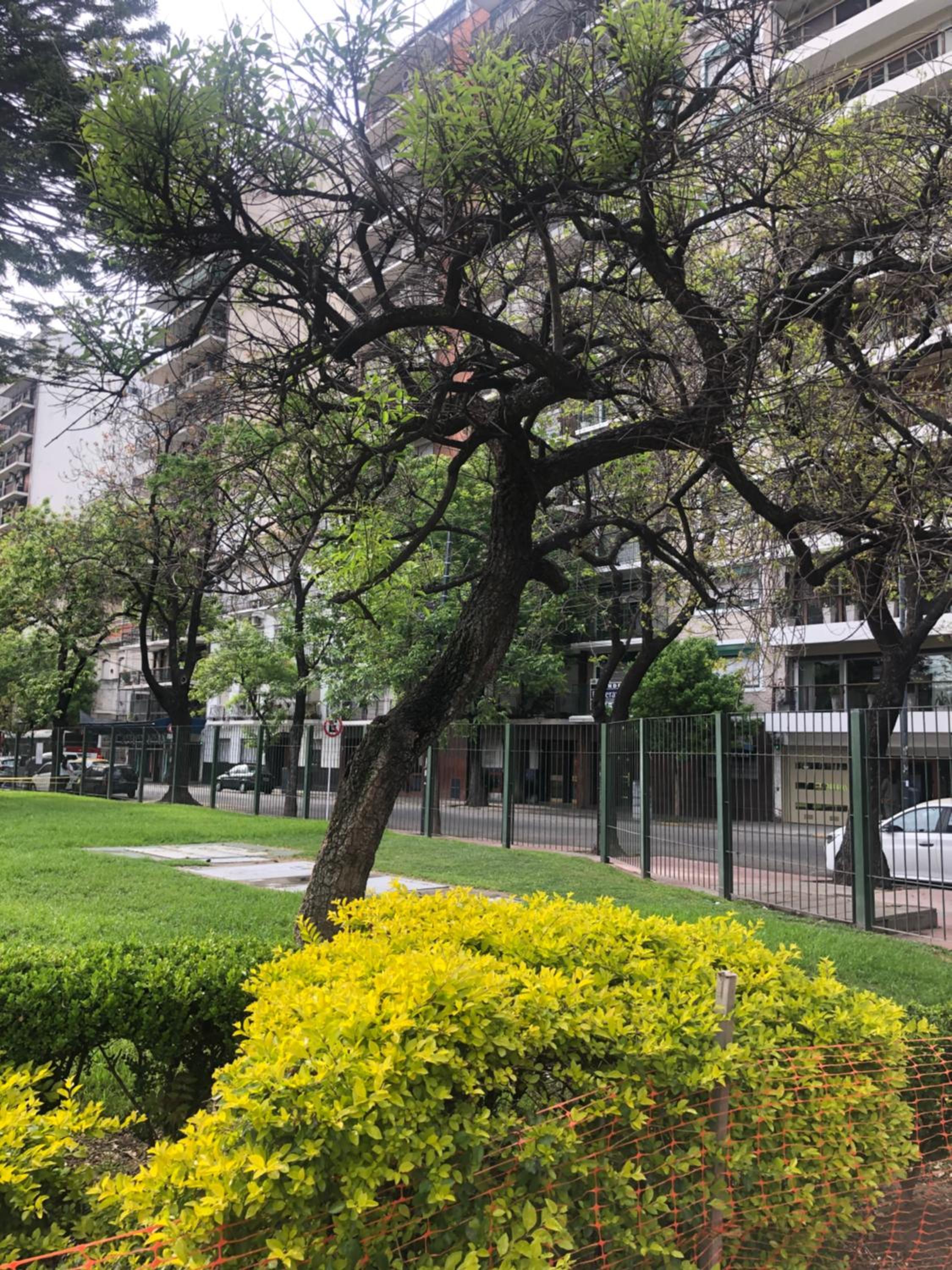 Cómodo y cálido