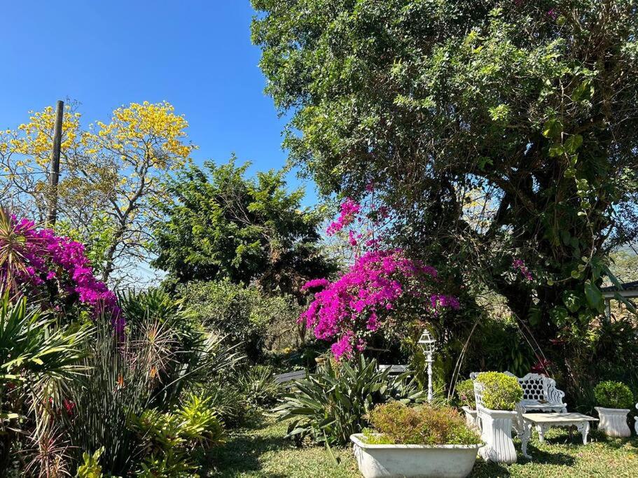 Casa Jardim