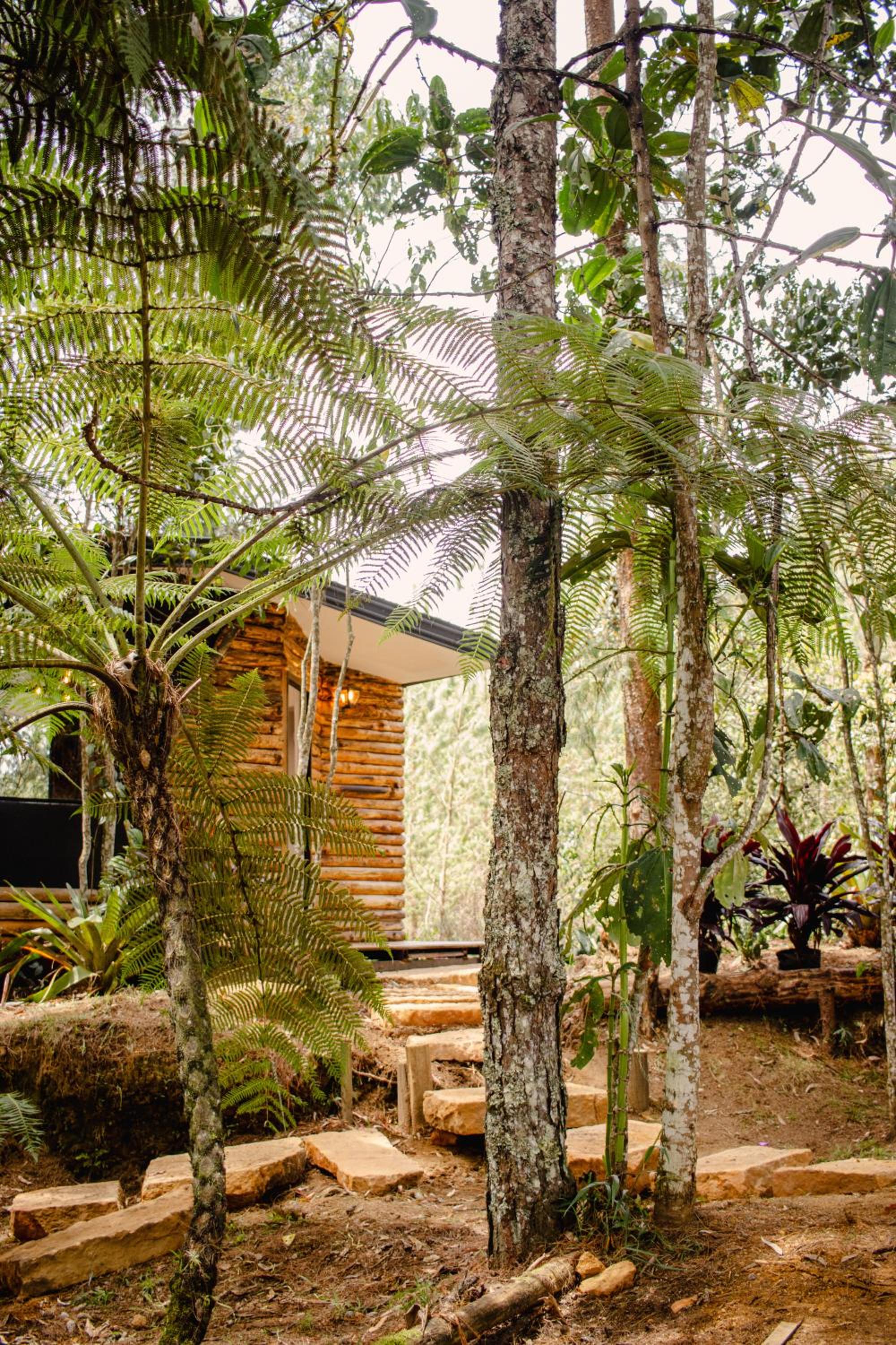 Cabaña Aventurina- La pascana Ecolodge Entorno natural excepcional, conexión con la naturaleza y avistamiento de aves, Ubicado a 3km del metrocable y Parqu