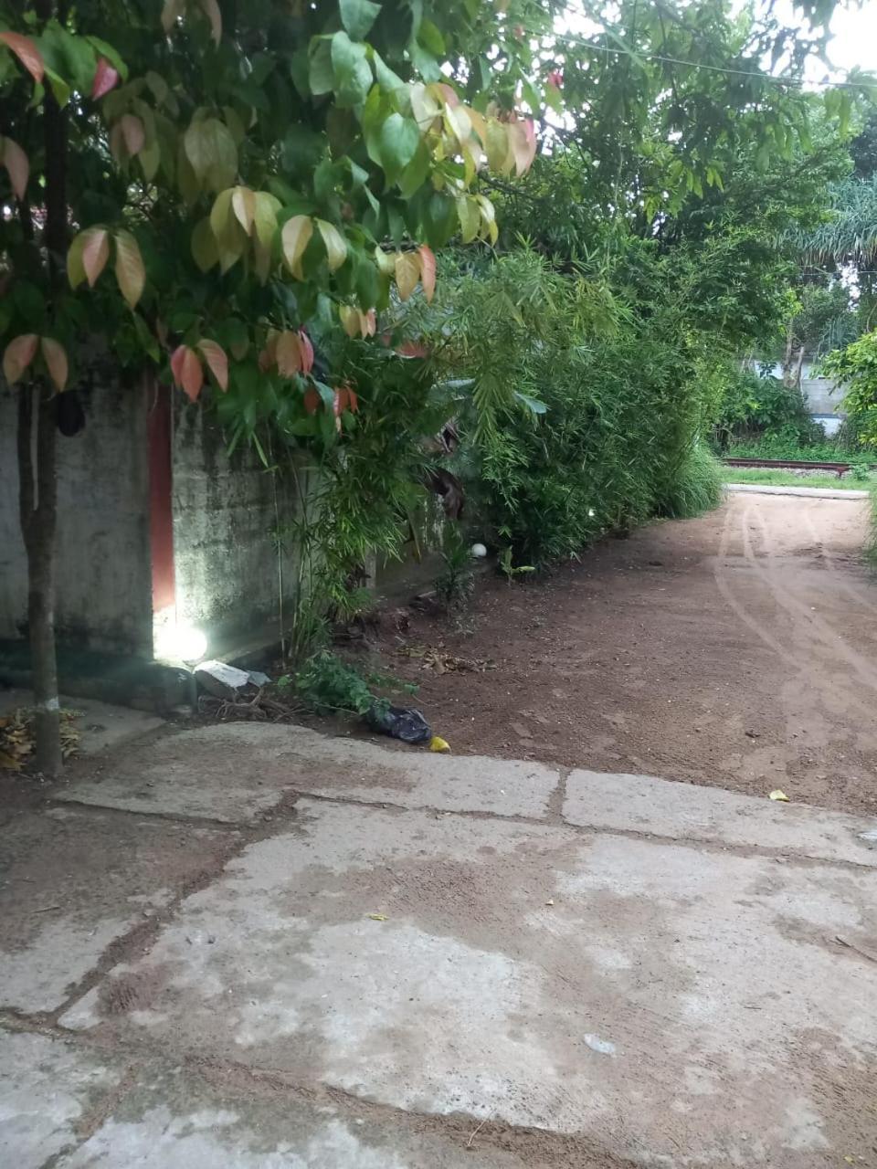 Photo 19