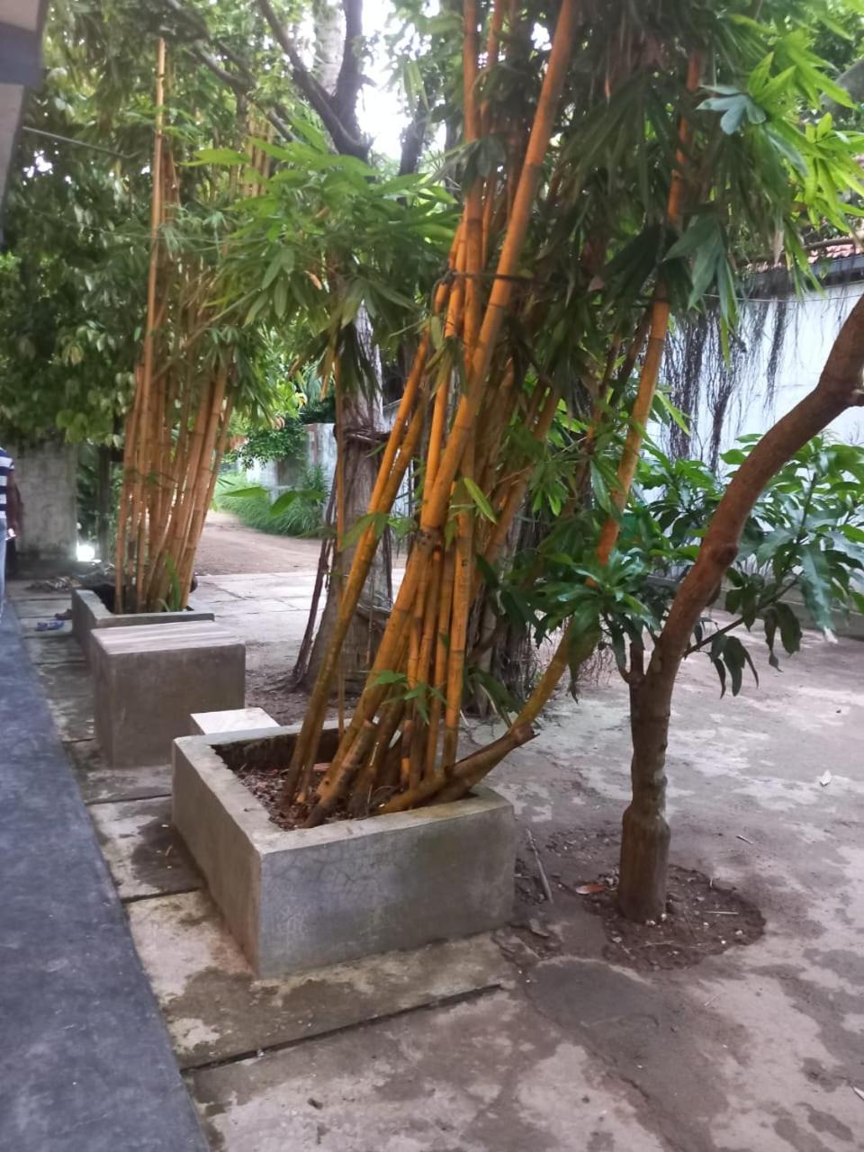 Photo 24