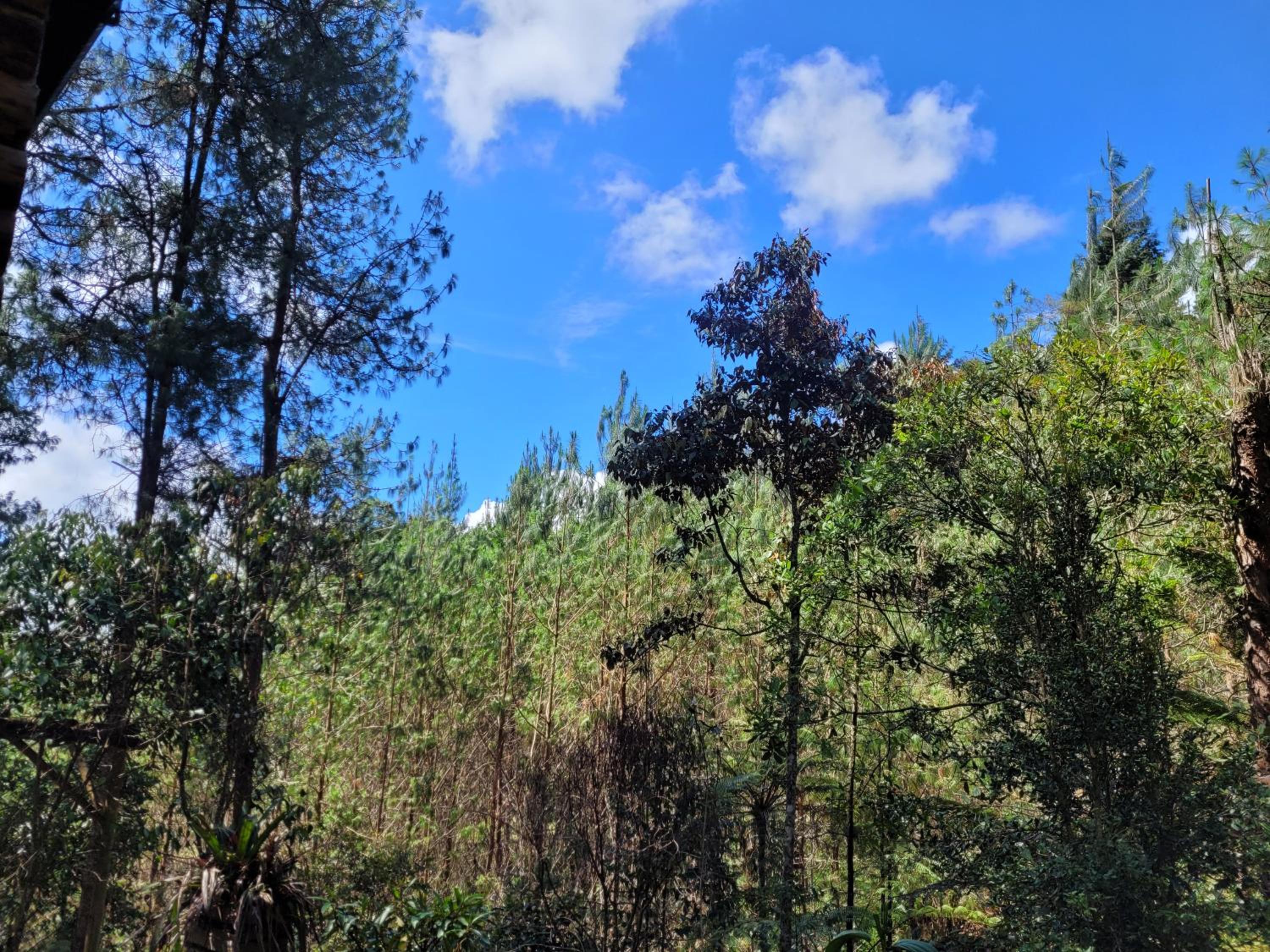 Cabaña Aventurina- La pascana Ecolodge Entorno natural excepcional, conexión con la naturaleza y avistamiento de aves, Ubicado a 3km del metrocable y Parqu