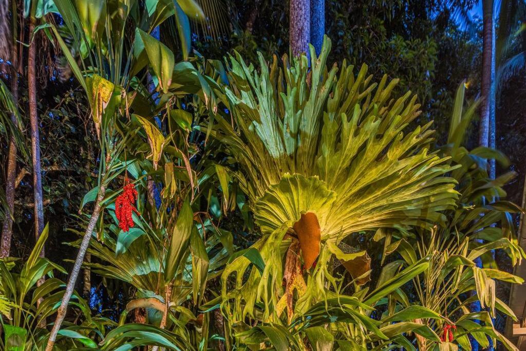 Lyrebird House